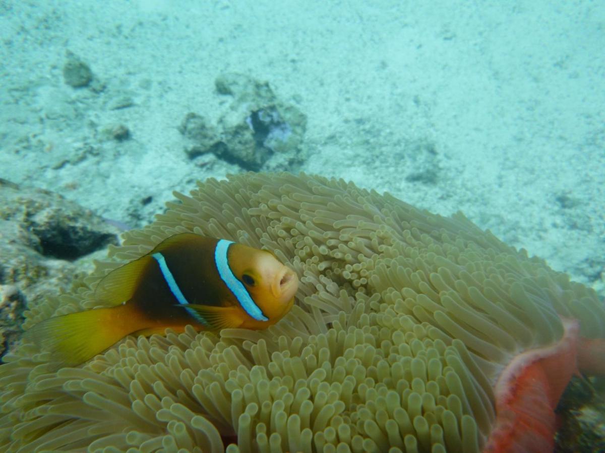 La Perle Tahaa Hotel Tapu' amu Kültér fotó