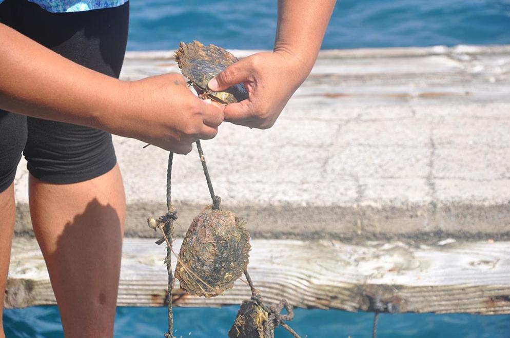 La Perle Tahaa Hotel Tapu' amu Kültér fotó