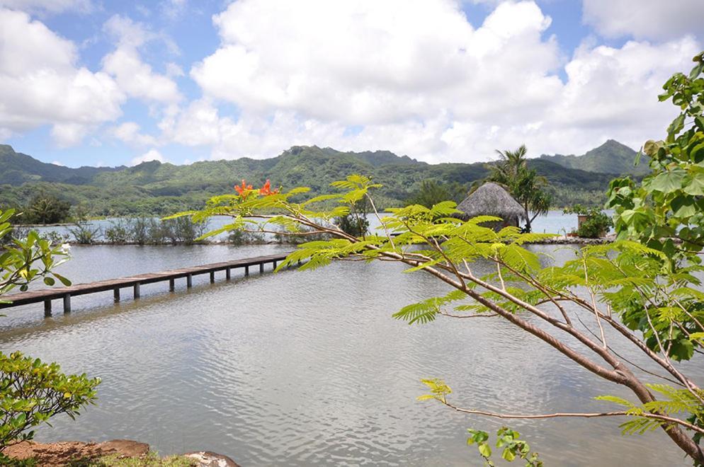 La Perle Tahaa Hotel Tapu' amu Kültér fotó