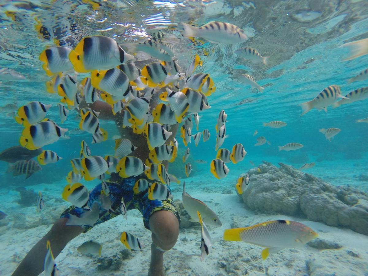 La Perle Tahaa Hotel Tapu' amu Kültér fotó
