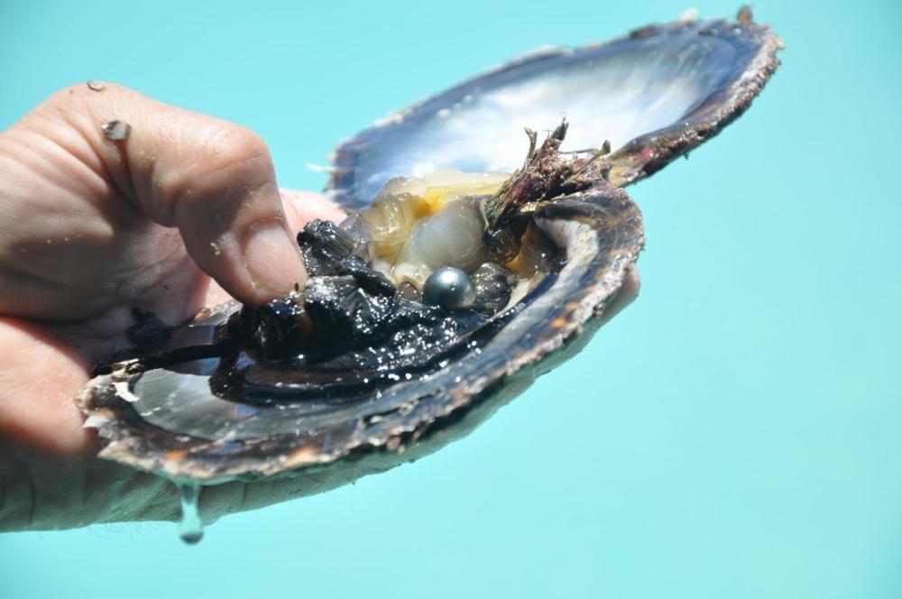 La Perle Tahaa Hotel Tapu' amu Kültér fotó